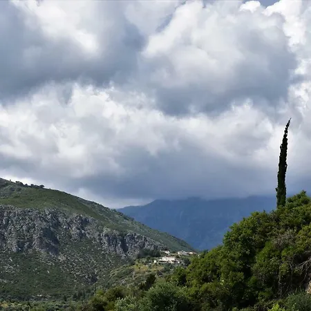 Standard By Scala Himare